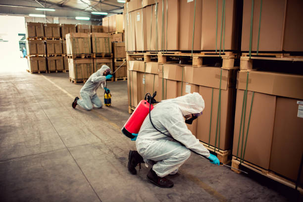 Best Residential Pest Control  in Derma, MS