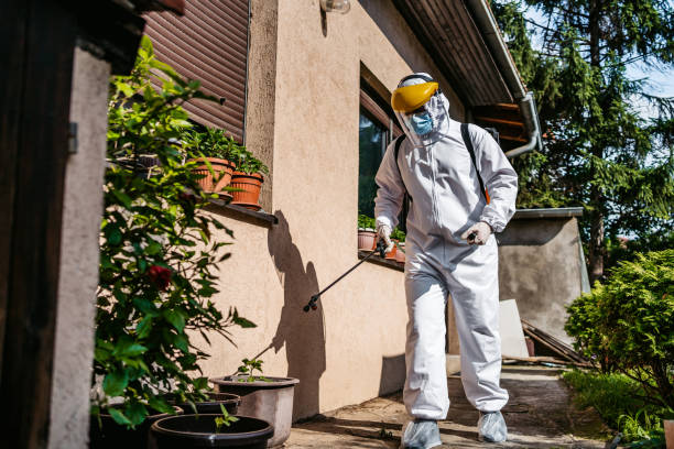 Best Exterminator Services  in Derma, MS