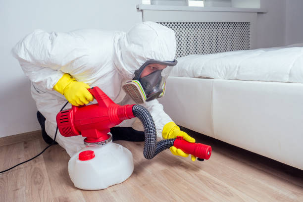 Best Cockroach Control Services  in Derma, MS