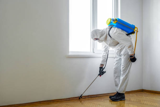 Pest Control Cost in Derma, MS
