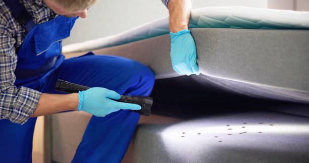 Best Termite Control Services  in Derma, MS